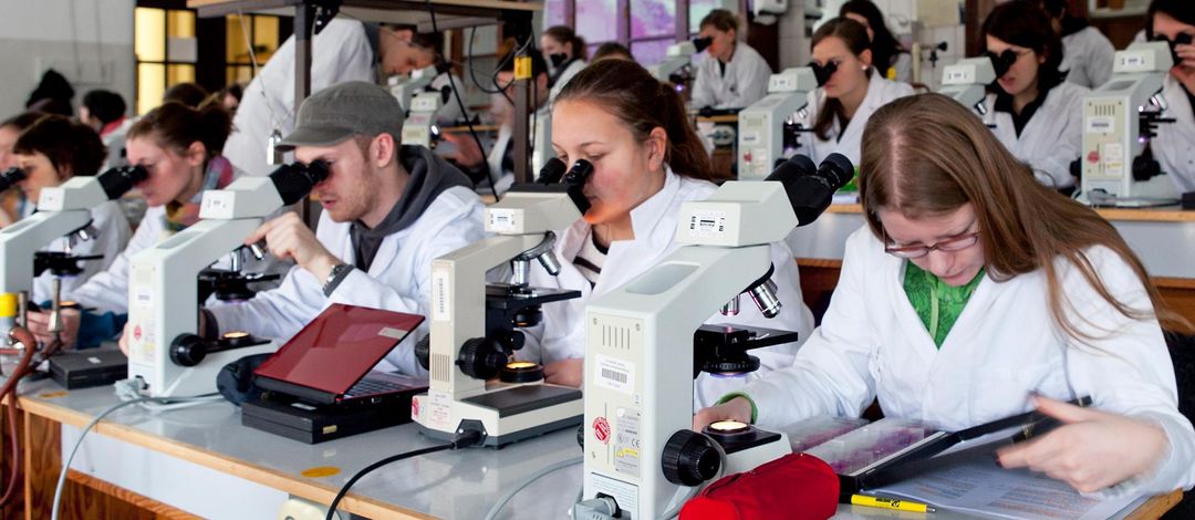 Studenten in der Mikroskopiervorlesung