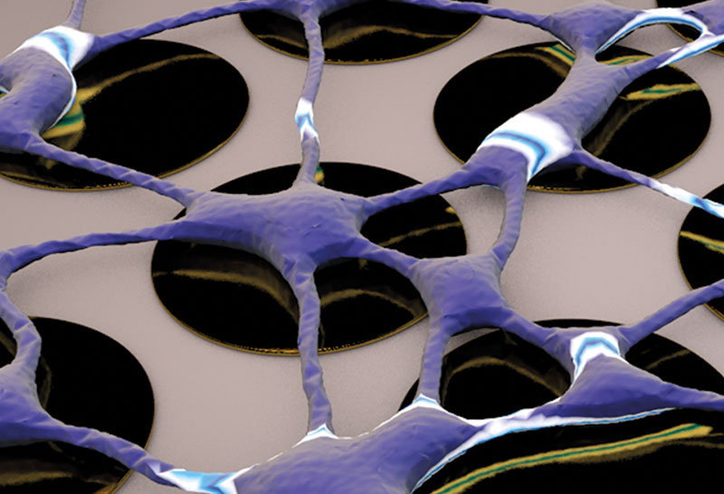 zur Vergrößerungsansicht des Bildes: CAD Modell eines neuronalen Netzwerkes auf einem Mikroelektroden-Array