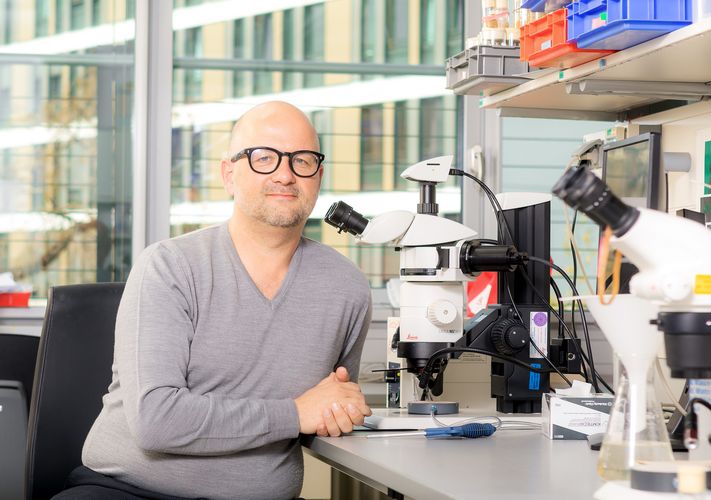 Prof. Tobias Langenhan in his laboratory at the Rudolf Schönheimer Institute for Biochemistry. Photo: Swen Reichhold