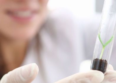 Erkenntnisse Leipziger Chemiker:innen eröffnen neue Möglichkeiten in der "Grünen Chemie". Erkenntnisse Leipziger Chemiker:innen eröffnen neue Möglichkeiten in der "Grünen Chemie".