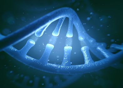 3D-Darstellung von RNA-Molekülen, Foto: Colourbox 3D-Darstellung von RNA-Molekülen