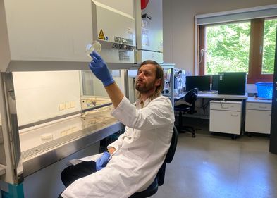 Testung der kombinierten antibakteriellen Verbindungen an der Werkbank. Foto: BBZ, AG Bioanalytik Testung von chemischen Wirkstoffen an einer Werkbank.
