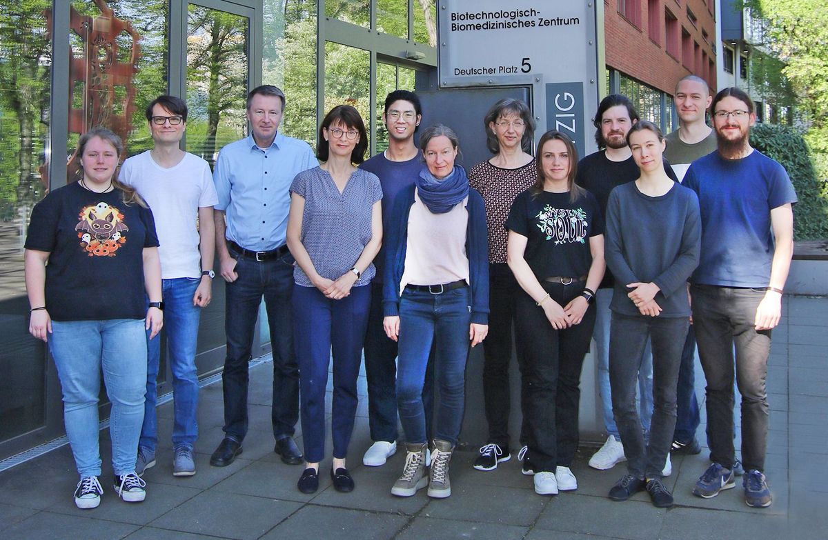 enlarge the image: Gruppenfoto der Professur für Strukturanalytik am BBZ. 