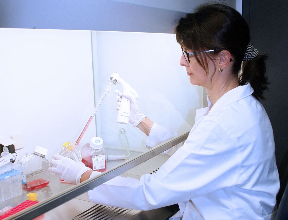 enlarge the image: Work at the workbench with cell cultures. 