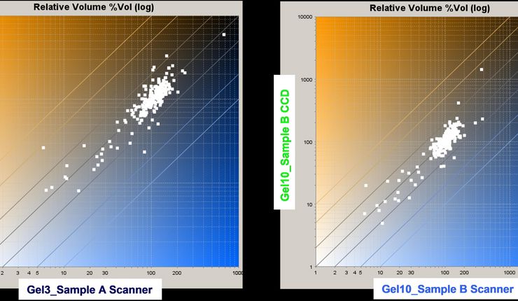 Zwei Scatter-Plot für die differentielle Analyse von 2D-Gelelektrophoresen, Foto: Universität Leipzig, BBZ, Bioanalytik