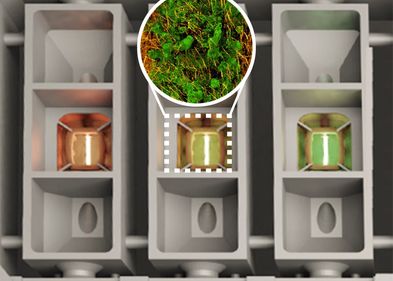 Mikrofluidische Chip-Plattform für organotypische Zellkulturen. Abb: AG Prof. Dr. Matthias Meier Abbildung einer mikrofluidische Chip-Plattform für organotypische Zellkulturen